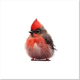 Baby Cardinal Posters and Art